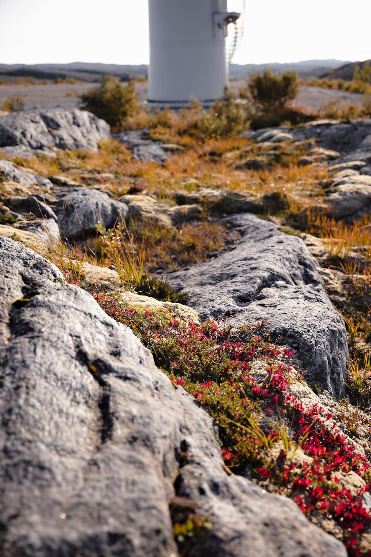 Vindmøller Vindmøller. Fotograf: Lykt Foto og Film