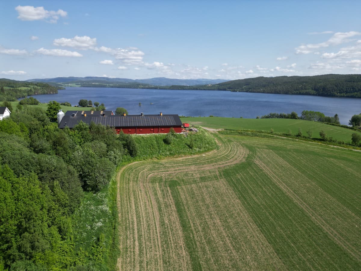 solcelleanlegg med utsikt Solcelleanlegg på fjøstak