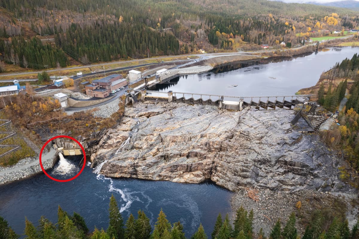 Nedre Fiskumfoss utgang laksesklie Nedre Fiskumfoss utgang laksesklie
